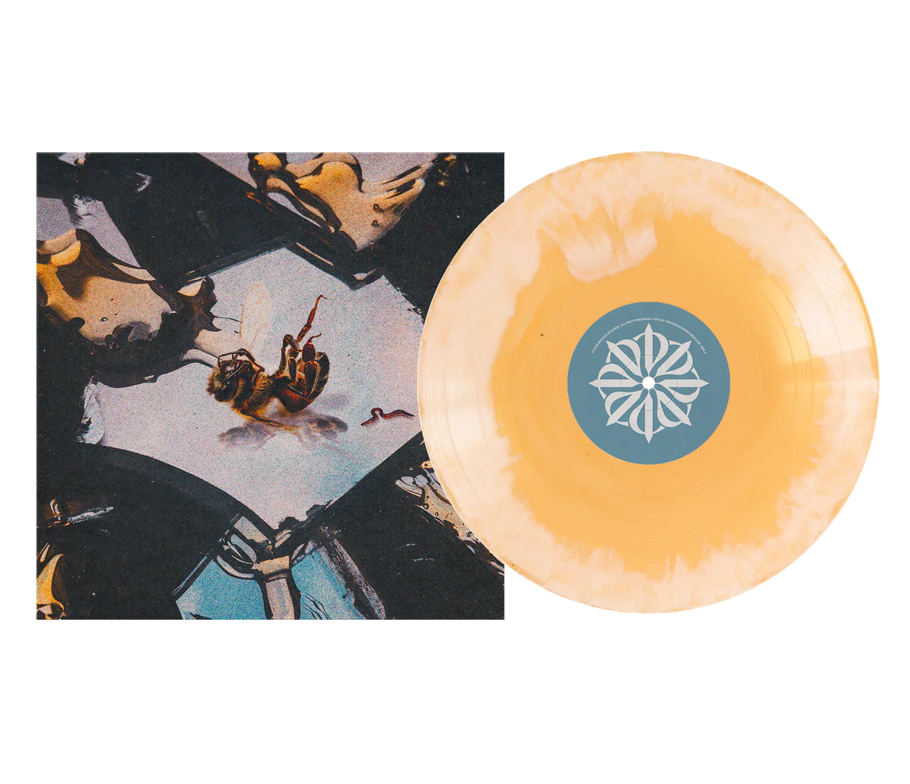 STAIN THE CANVAS - “HONEY ROT” HONEY SMUSH VINYL