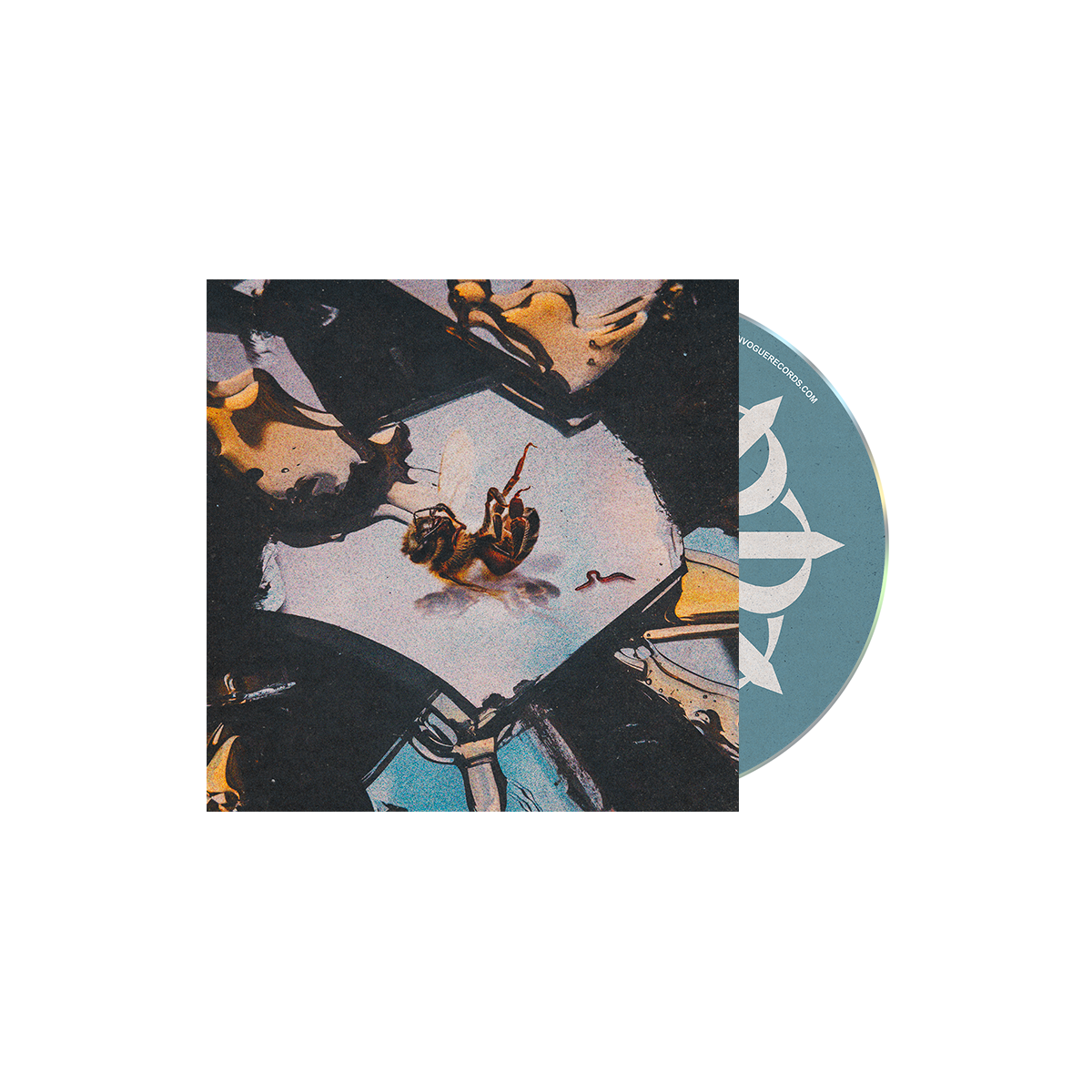 STAIN THE CANVAS - “HONEY ROT” CD